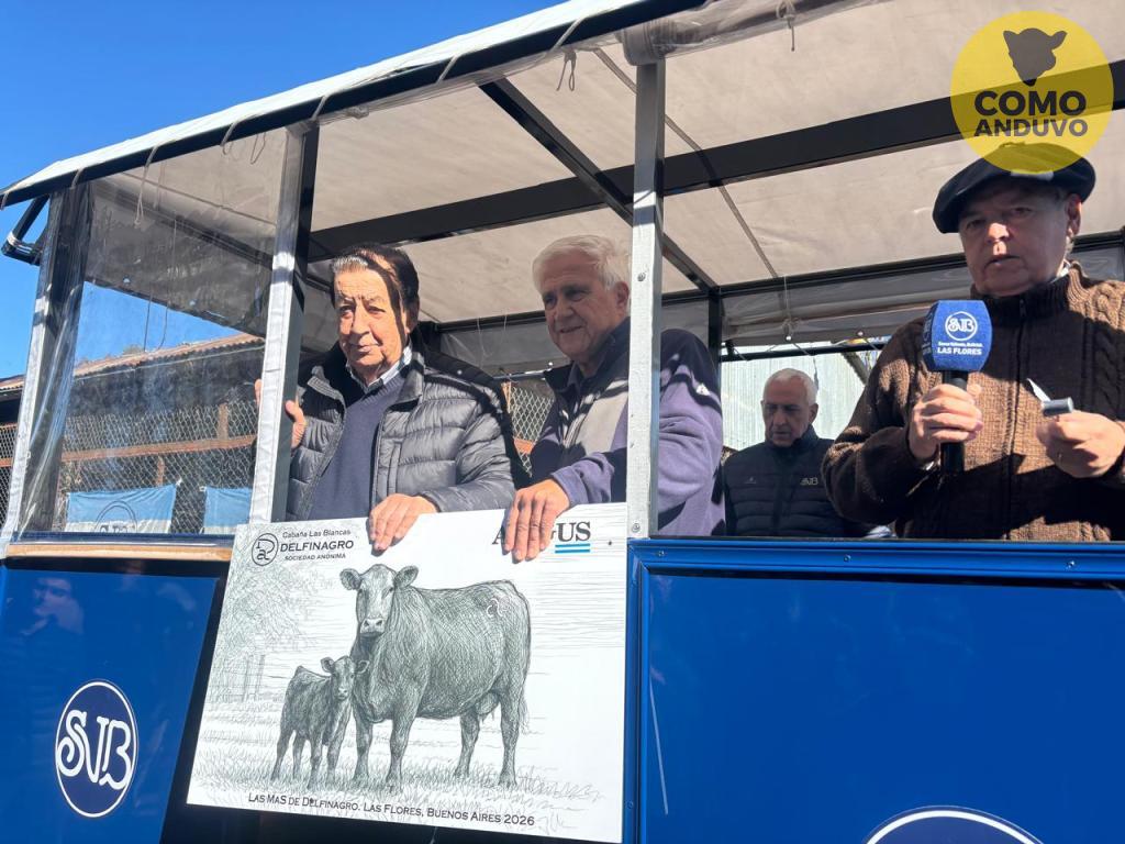 Las Blancas de Delfinagro S.A.